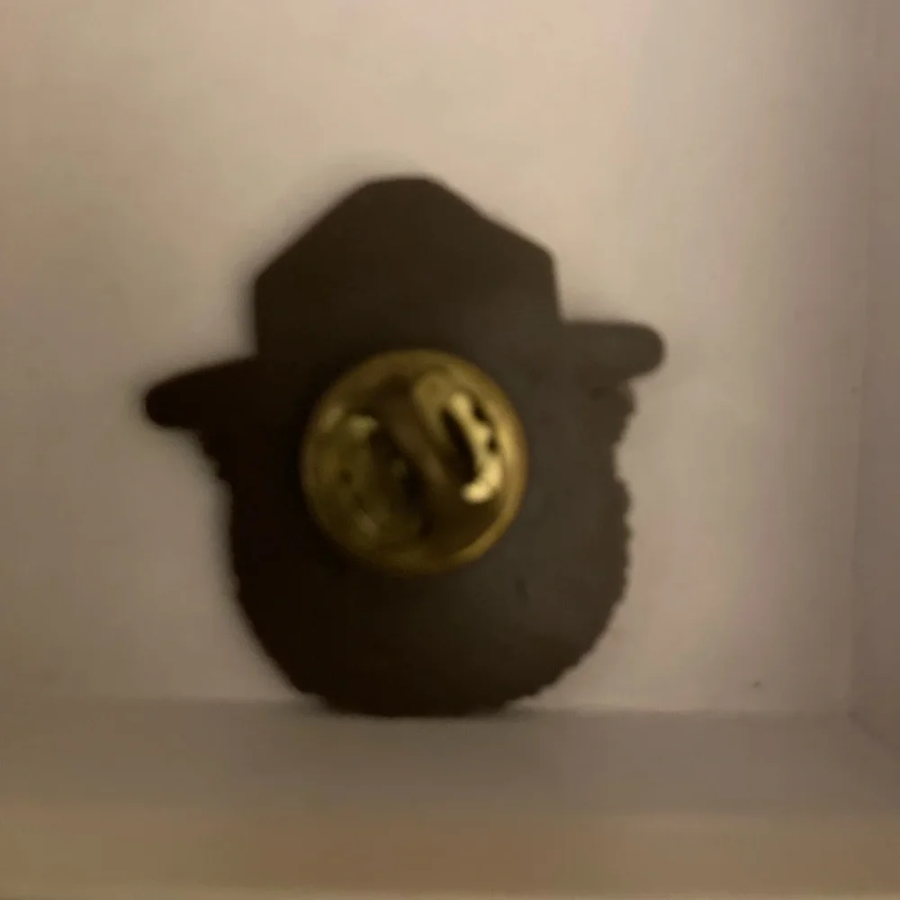 Vtg Smokey Bear Head Pin Brown Plastic Pinback Only You Can Prevent Wildfires - Picture 2 of 2